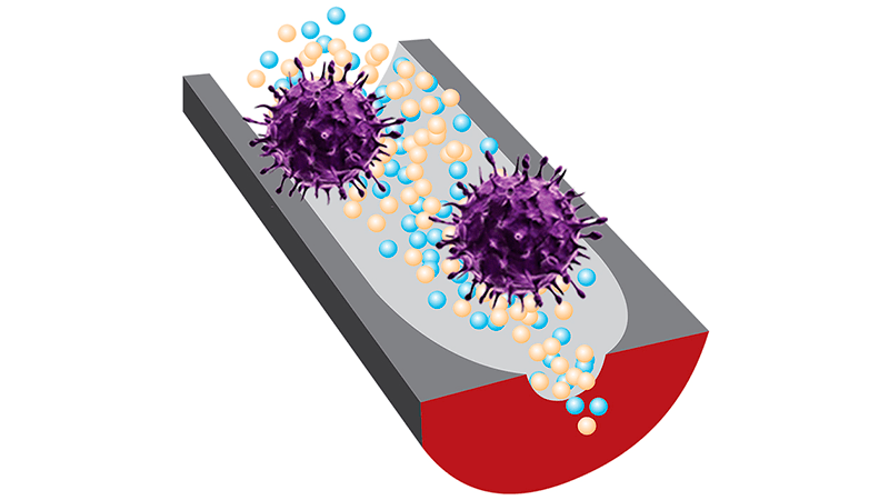 El sensor de ADN determina rápidamente si los virus son infecciosos