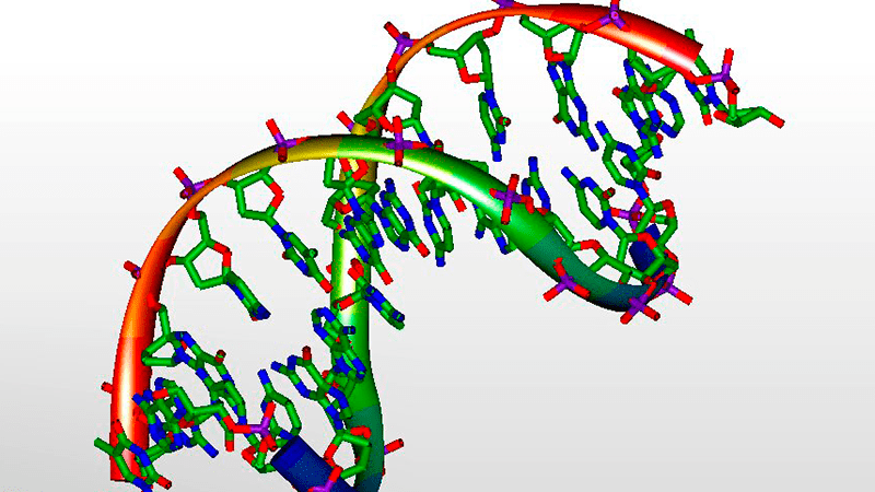 Nuestro ADN se está convirtiendo en el disco duro más pequeño del mundo