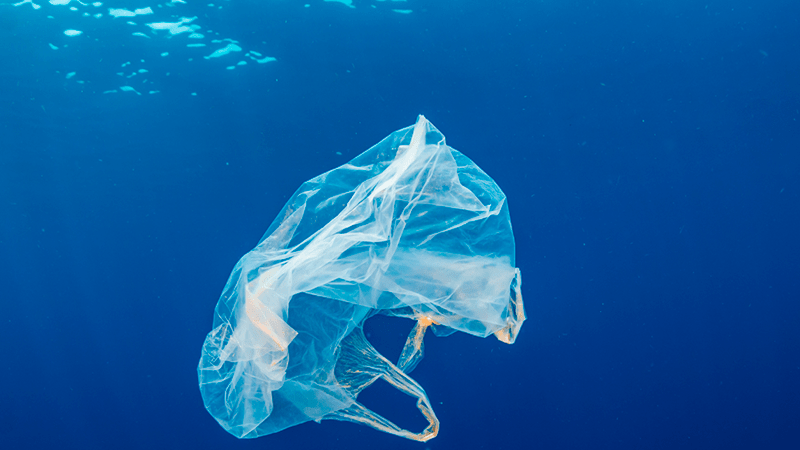 Identifican enzimas “come plásticos” en océanos antárticos