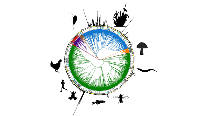 Inicia una nueva fase del Proyecto Earth Biogenome