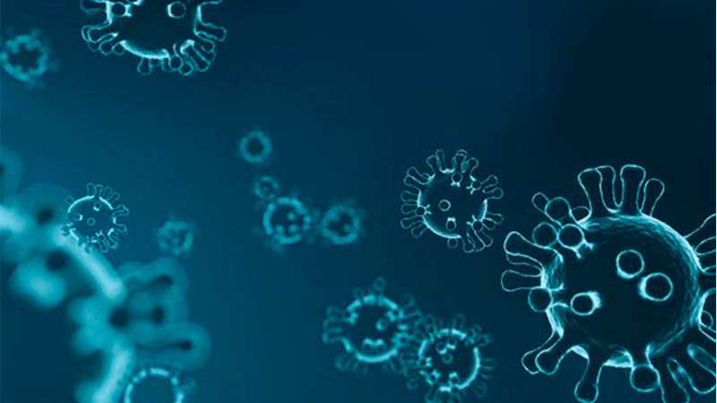 Científicos descubren más de 130.000 nuevos virus