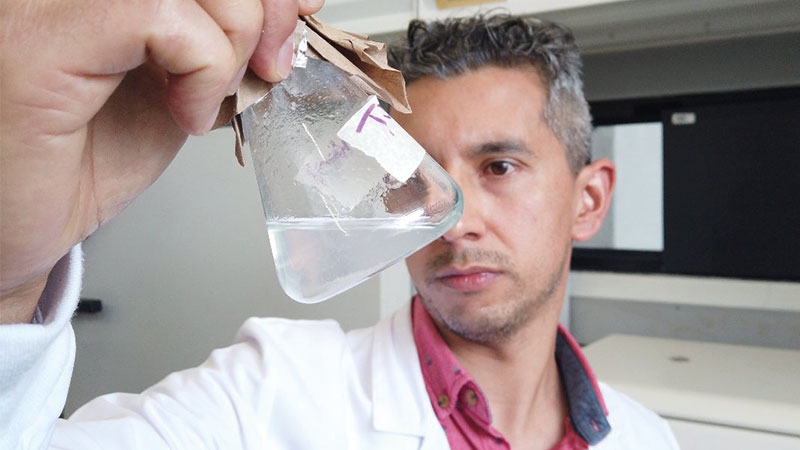 Descubren en Colombia nuevas bacterias que comen plásticos y residuos agrícolas