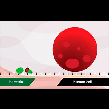 PÚAS DE GRAFENO PARA MATAR BACTERIAS EN IMPLANTES