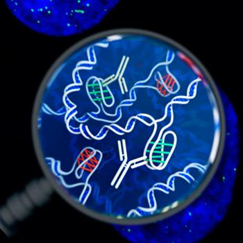 DESCUBREN UNA NUEVA ESTRUCTURA DE ADN EN LAS CÉLULAS HUMANAS VIVAS