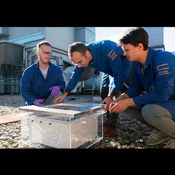 La caja milagrosa que saca agua del aire del desierto