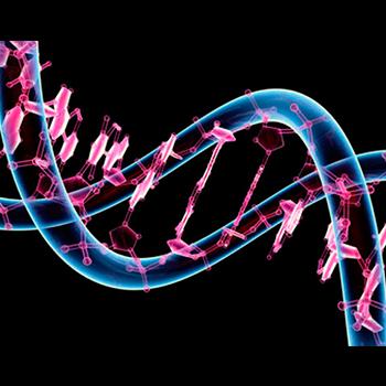 Gran apuesta por cuántos genes tienen los humanos