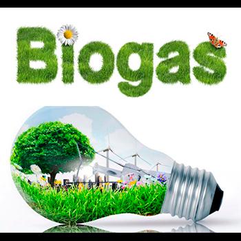 Biogás; otra investigación amigable con el medio ambiente