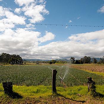Dispositivo de bajo costo mide caudal de riego y drenaje en agricultura