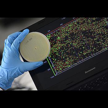 Software identifica más rápido bacterias en ambientes clínicos