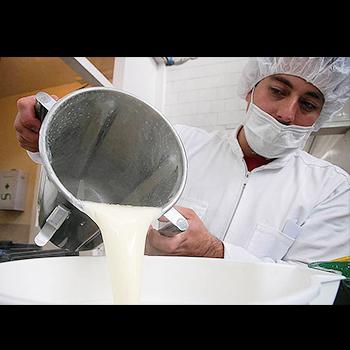 Péptidos de leche combatirían resistencia a antibióticos