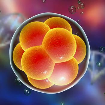 Piden una moratoria para frenar la creación de más bebés genéticamente modificados