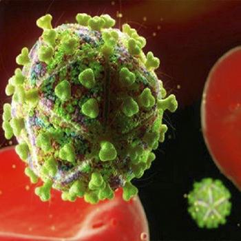 Logran curar el VIH en ratones modificados con células inmunitarias humanas