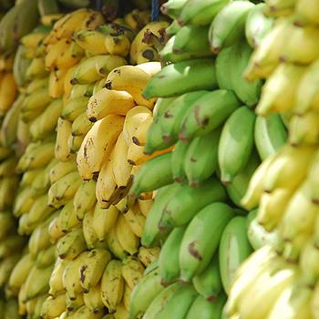 Luz ultravioleta desinfectaría frutas y hortalizas