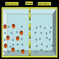 OSMOSIS INVERSA - OSMOSIS REVERSA