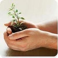 ES NECESARIA LA SEGURIDAD AMBIENTAL