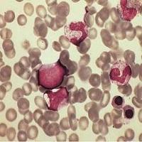 EMULSION FOTOGRAFICA