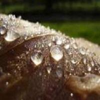 QUE ES LA ACTIVIDAD ACUOSA?