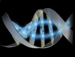 GENOMICA, VANGUARDIA DE LA BIOLOGIA