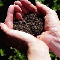 TODO ACERCA DEL SUELO