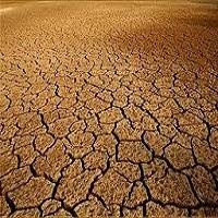 QUE ESTUDIA LA EDAFOLOGIA