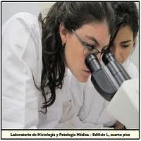 PATOLOGIA