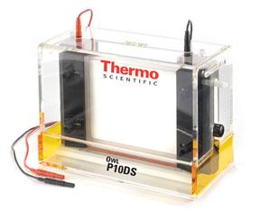 METODOS ELECTROFORETICOS