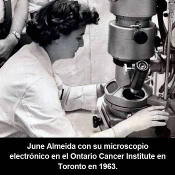 La mujer que descubrió el primer coronavirus.