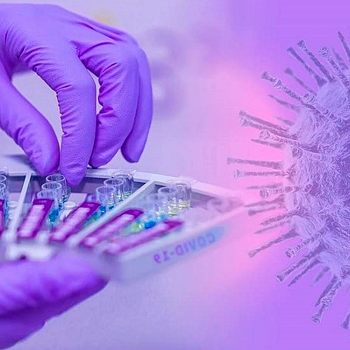 Descubren un anticuerpo monoclonal humano que bloquea la infección por SARS-CoV-2