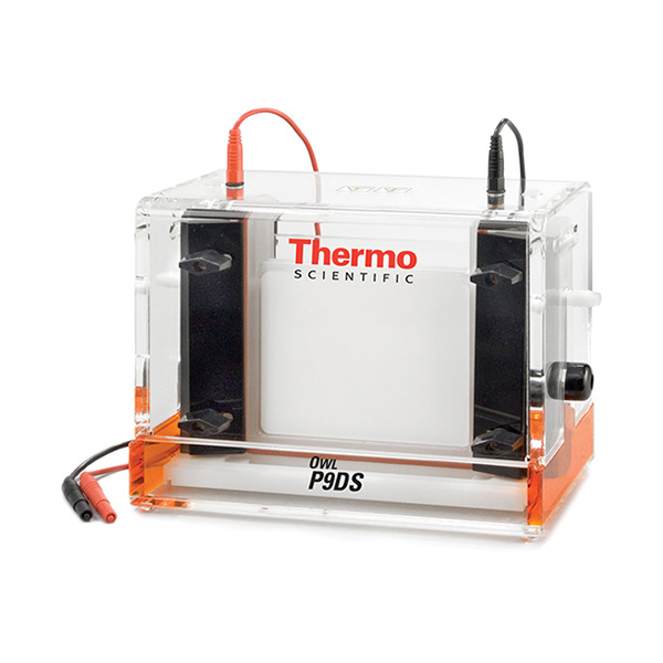 SISTEMA DE ELECTROFORESIS VERTICAL DE DOBLE GEL THERMO SCIENTIFIC - P9DS-2