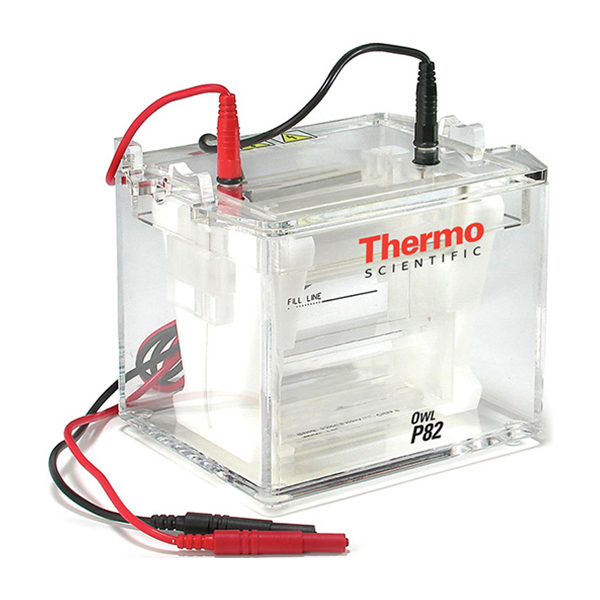 SISTEMA DE ELECTROFORESIS MINI GEL MARCA THERMO SCIENTIFIC - P82