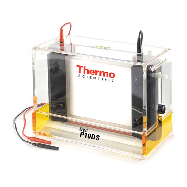 P10DS-1 SISTEMA VERTICAL DE ELECTROFORESIS PARA GEL DUAL  MARCA THERMO SCIENTIFIC