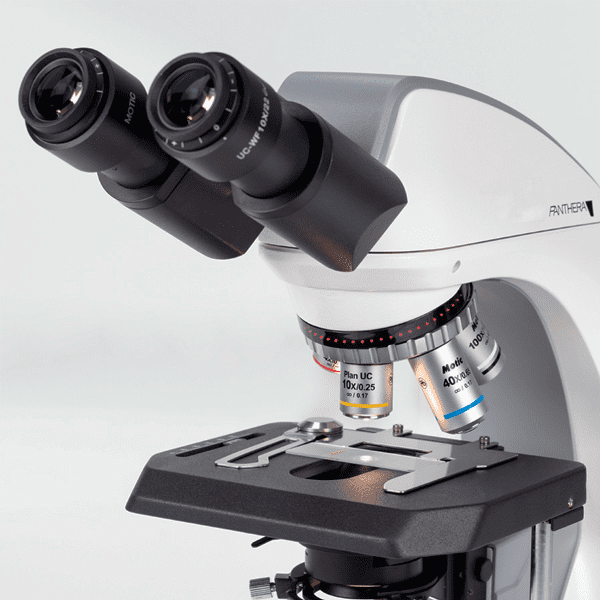 MICROSCOPIO MOTIC - PANTHERA C