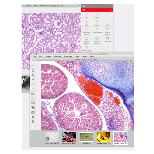 IMÁGENES PLUS 3.0 MOTIC