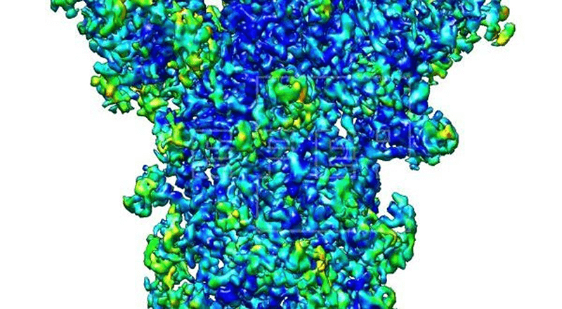 Nuevas técnicas de imagen en 3D mejoran el conocimiento del coronavirus