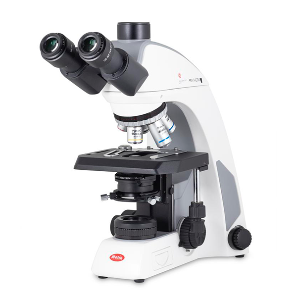 Microscopio PANTHERA C2 Trinocular