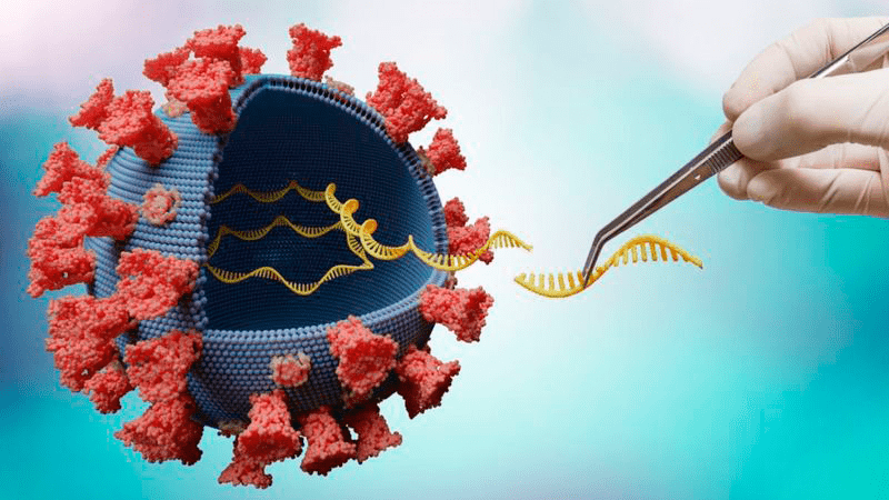 Delta: las 5 mutaciones que hacen a esta variante del coronavirus más contagiosa y preocupante