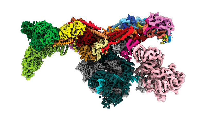 La IA de DeepMind predice estructuras para un vasto tesoro de proteínas